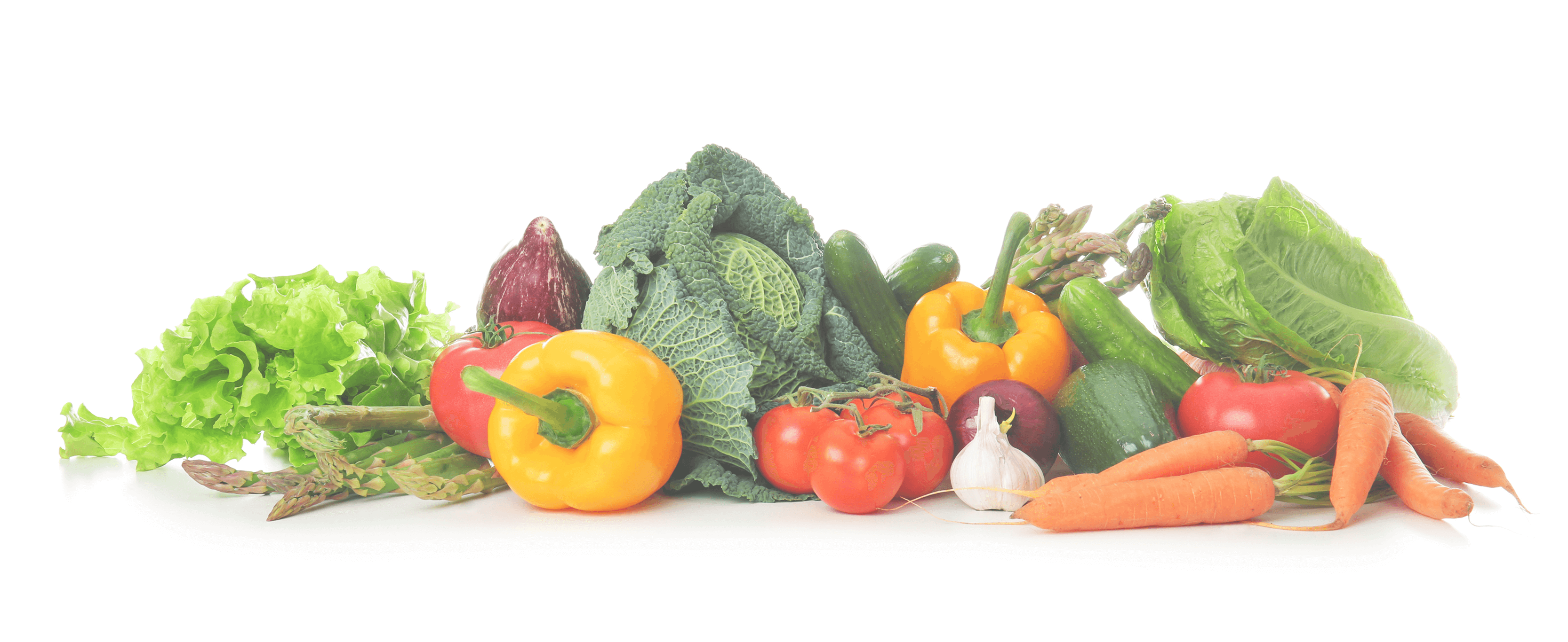 管理栄養士の指導